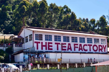 The Tea Factory